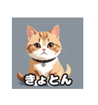 フラットマンチカンのひとことスタンプ（個別スタンプ：19）