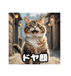 ころころマンチカンのつぶやき（個別スタンプ：16）