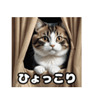 ころころマンチカンのつぶやき（個別スタンプ：18）