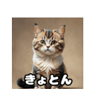 ころころマンチカンのつぶやき（個別スタンプ：19）