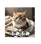 ころころマンチカンのつぶやき（個別スタンプ：29）