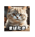 ころころマンチカンのつぶやき（個別スタンプ：36）