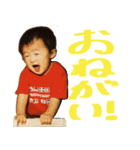 ちなごんのスタンプ②（個別スタンプ：1）