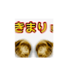 使い易きチンパン（個別スタンプ：4）