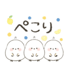 毎日つかえる♡ふんわりシマエナガ（個別スタンプ：6）