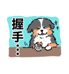 向かいに、いぬ。5（個別スタンプ：10）