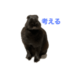 こめぽよ（個別スタンプ：3）