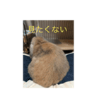 こめぽよ（個別スタンプ：5）