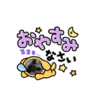 しょこらん家（個別スタンプ：1）