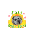 しょこらん家（個別スタンプ：6）