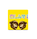 ツインチンパン（個別スタンプ：8）