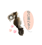 ViVi STAMP 3（個別スタンプ：5）