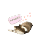 ViVi STAMP 3（個別スタンプ：7）