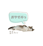 ViVi STAMP 3（個別スタンプ：12）