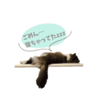 ViVi STAMP 3（個別スタンプ：14）