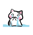 毎日ねこ【返信/挨拶/お礼】（個別スタンプ：5）