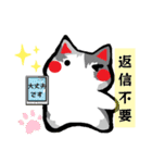 毎日ねこ【返信/挨拶/お礼】（個別スタンプ：8）