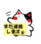 毎日ねこ【返信/挨拶/お礼】（個別スタンプ：11）