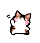 毎日ねこ【返信/挨拶/お礼】（個別スタンプ：12）
