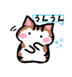 毎日ねこ【返信/挨拶/お礼】（個別スタンプ：13）