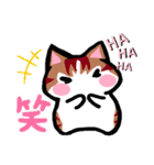 毎日ねこ【返信/挨拶/お礼】（個別スタンプ：15）