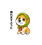 うちコギまいまい挨拶セットその1（個別スタンプ：11）