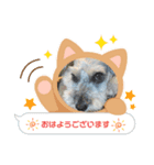 しょこらん家2（個別スタンプ：1）