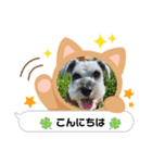 しょこらん家2（個別スタンプ：2）