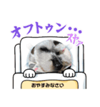 しょこらん家2（個別スタンプ：3）
