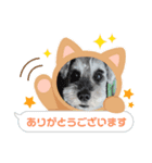 しょこらん家2（個別スタンプ：6）