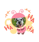 しょこらん家2（個別スタンプ：11）