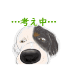 へん犬6 おともだち（個別スタンプ：32）
