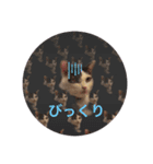 もなかのもんちゃん2.5（個別スタンプ：3）