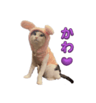 もなかのもんちゃん2.5（個別スタンプ：7）