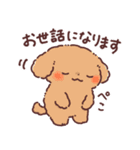 わんこず3（いろいろ犬種）（個別スタンプ：13）