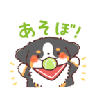わんこず3（いろいろ犬種）（個別スタンプ：20）