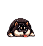無言で伝える太っちょ黒柴2（個別スタンプ：11）