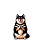 無言で伝える太っちょ黒柴2（個別スタンプ：18）