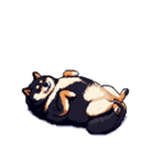 無言で伝える太っちょ黒柴2（個別スタンプ：27）
