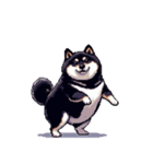 無言で伝える太っちょ黒柴2（個別スタンプ：33）