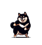無言で伝える太っちょ黒柴2（個別スタンプ：35）