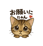 にゃにゃにゃんはキジトラ（個別スタンプ：2）
