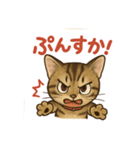 にゃにゃにゃんはキジトラ（個別スタンプ：3）