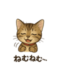 にゃにゃにゃんはキジトラ（個別スタンプ：4）