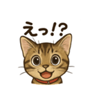 にゃにゃにゃんはキジトラ（個別スタンプ：5）