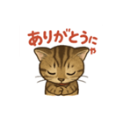 にゃにゃにゃんはキジトラ（個別スタンプ：6）