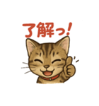 にゃにゃにゃんはキジトラ（個別スタンプ：7）