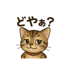 にゃにゃにゃんはキジトラ（個別スタンプ：8）