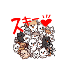 わんピース・にゃんピース LINEスタンプ1（個別スタンプ：28）