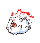 わんピース・にゃんピース LINEスタンプ1（個別スタンプ：31）
